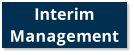 Interim  Management